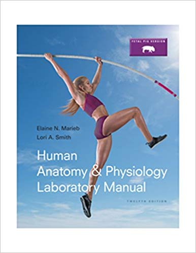 Essentials Of Anatomy And Physiology Lab Manual Atsma Drugs