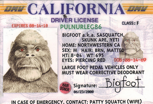 drivers license generator california